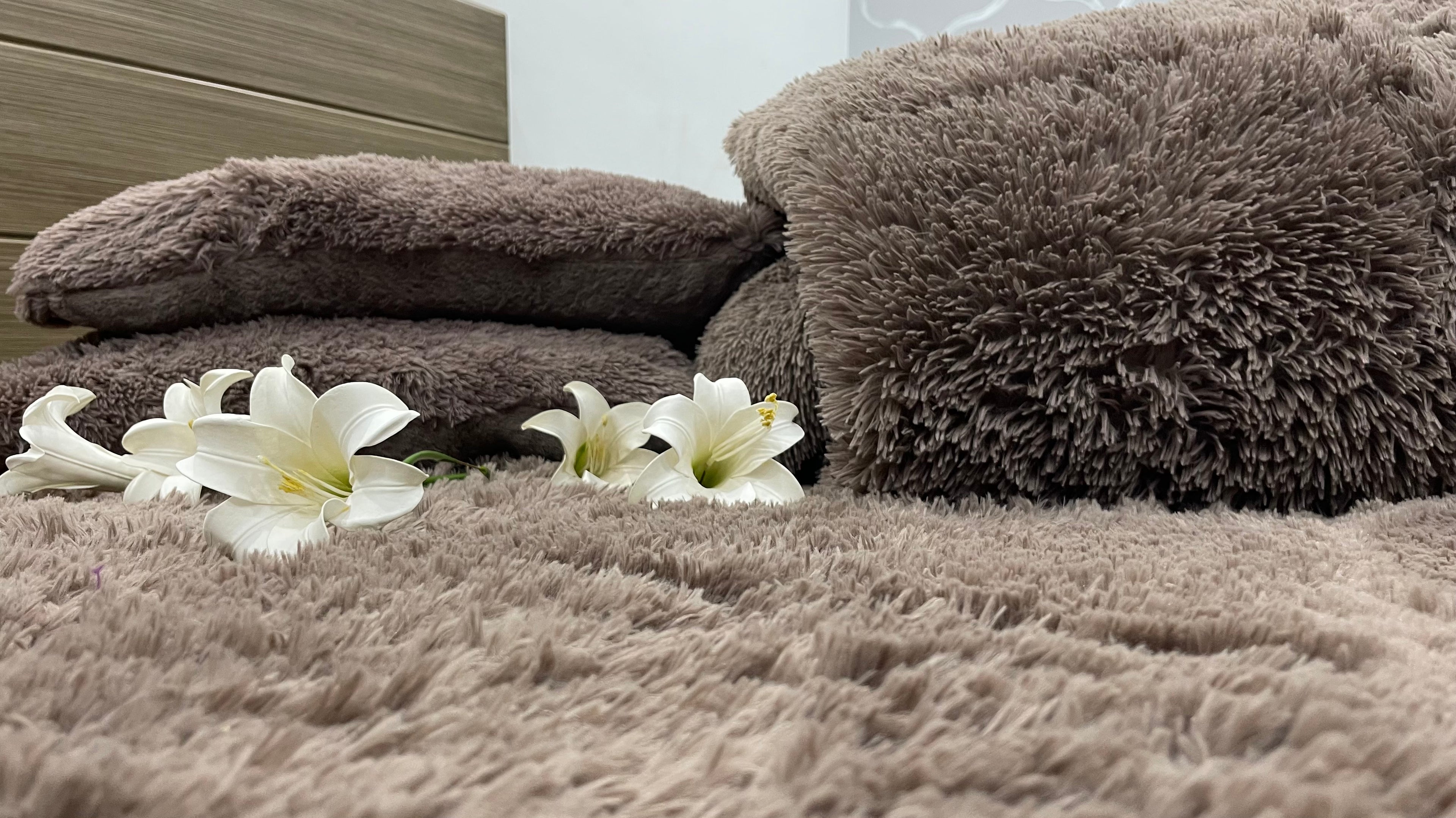 Mouse Skin-Shaggy Quilt Set